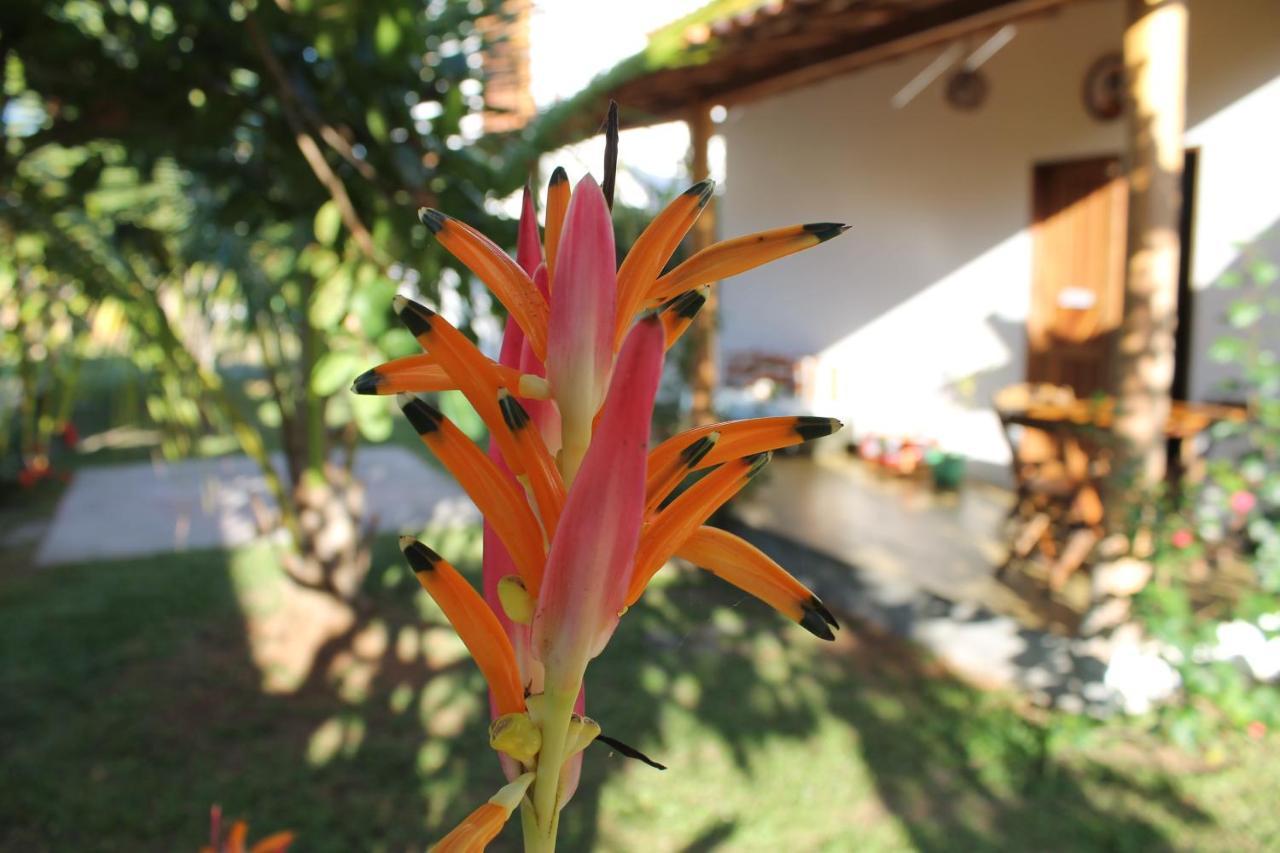 Family Guest House Velha Boipeba Exteriör bild