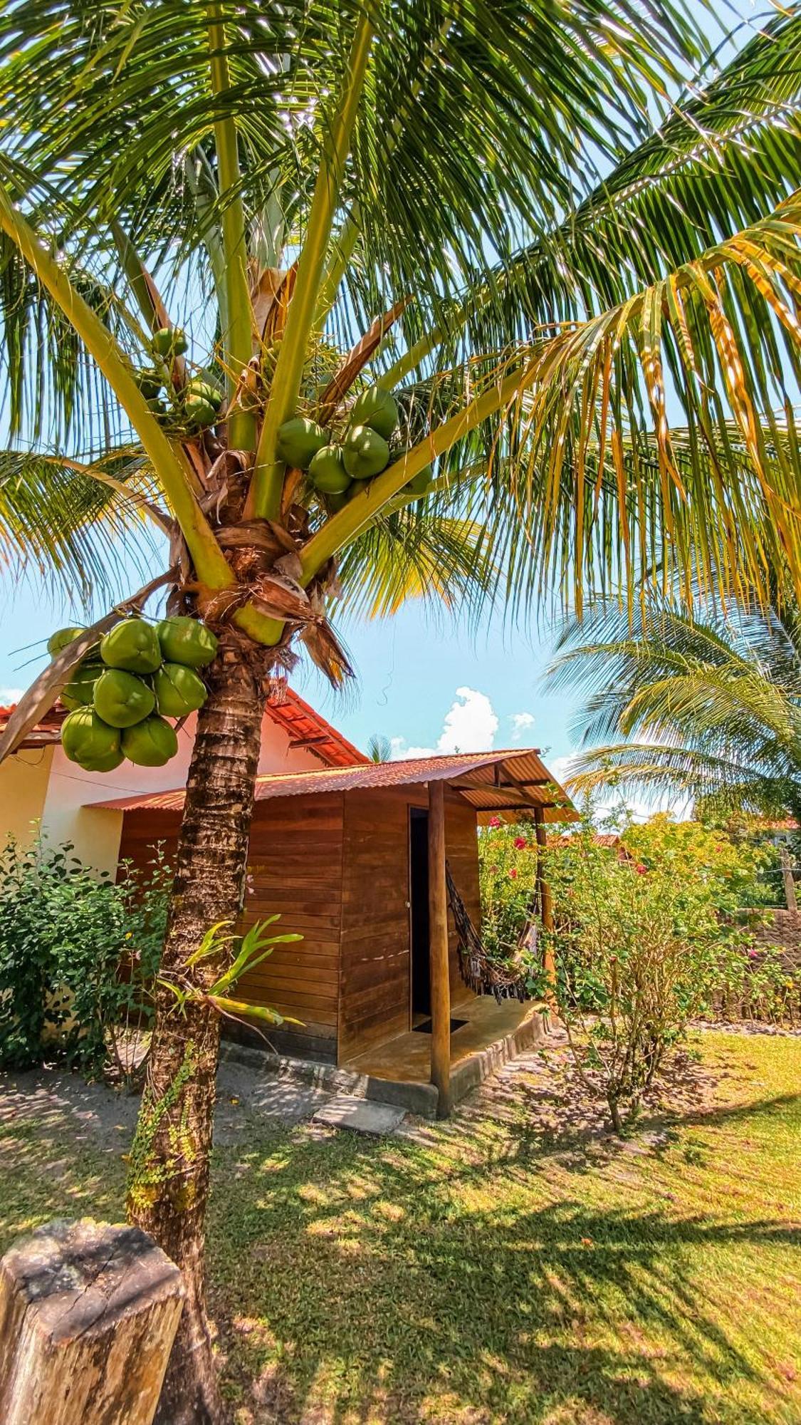 Family Guest House Velha Boipeba Exteriör bild